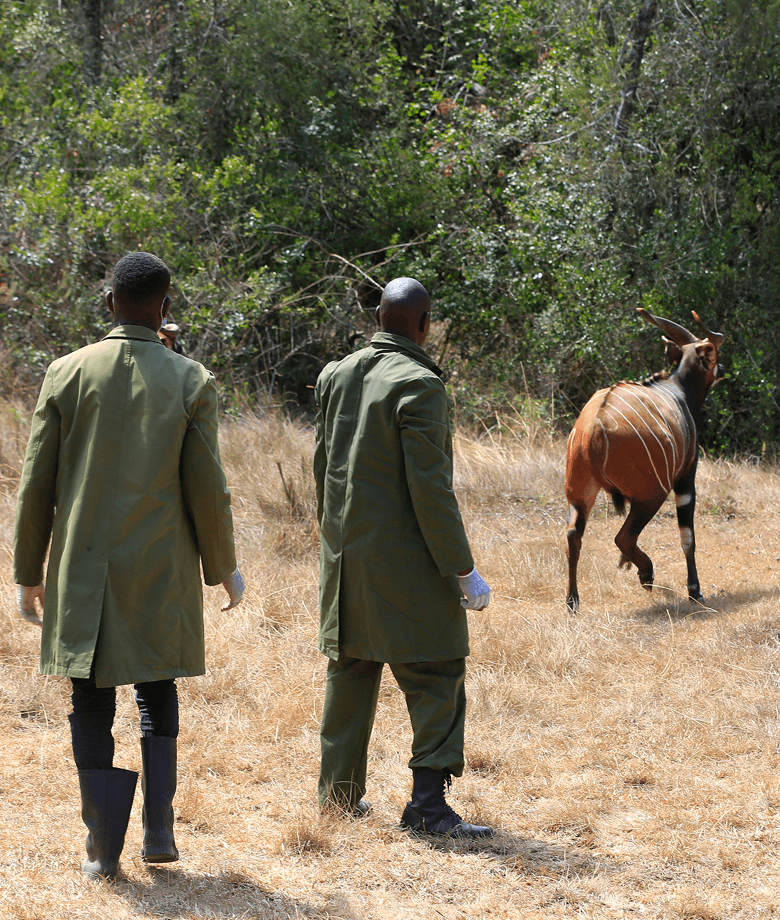 Conservation Impact