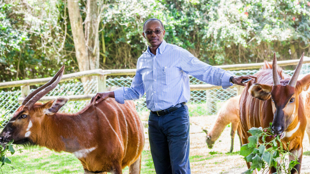 Humphrey Kariuki Driving Africas Growth And Sustainability